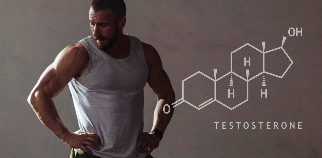 White man in a gray tank top standing with hands on his hips beside a molecular diagram labeled “Testosterone.”