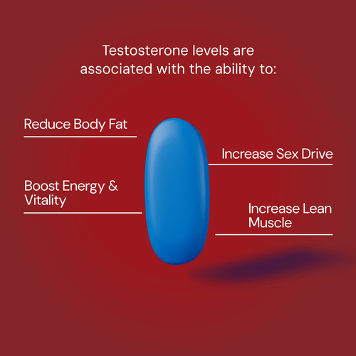 An image with a red background featuring a blue capsule in the center, symbolizing a supplement. Text around the capsule reads: "Testosterone levels are associated with the ability to:" with four benefits listed: "Reduce Body Fat" on the left, "Boost Energy & Vitality" below it, "Increase Sex Drive" on the right, and "Increase Lean Muscle" above it. 